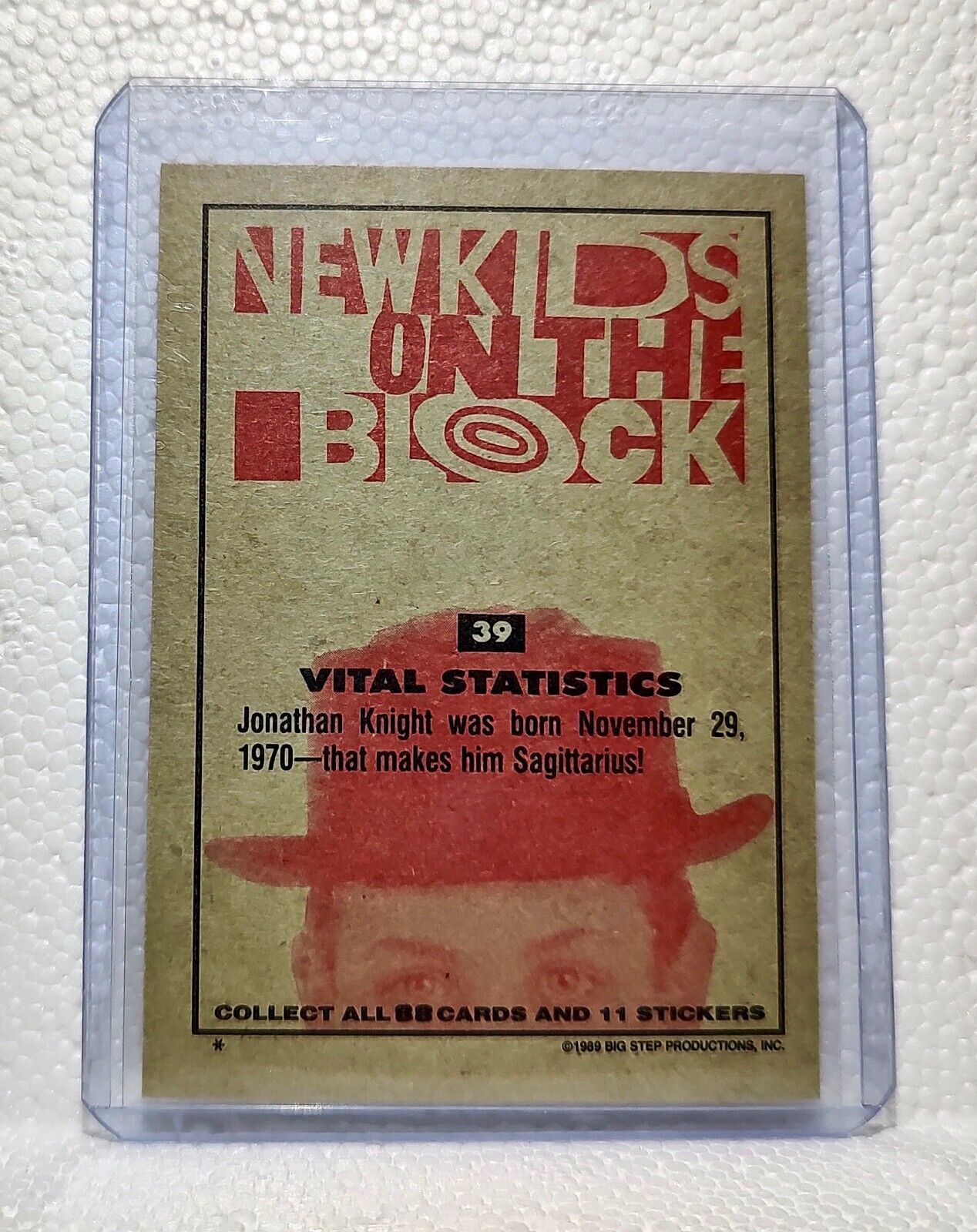 Vital Statistics 1989 New Kids on the Block #39 Trading Card