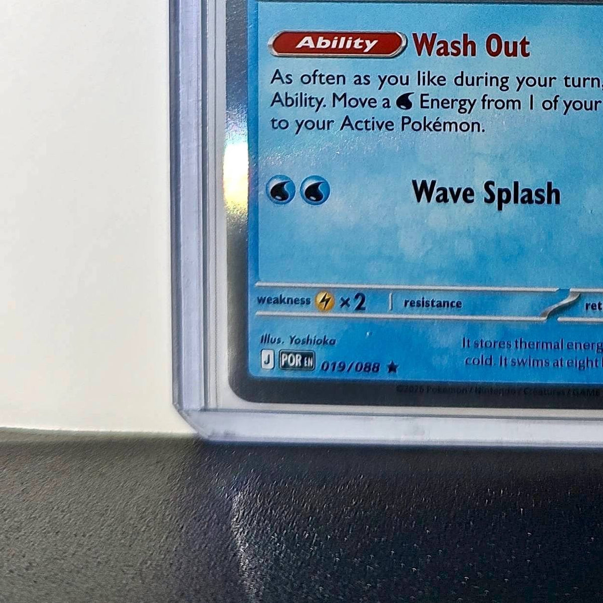 Pokemon Dewgong HP130 Stage 1 Water 019/088 2025 Perfect Order Mega Evolution