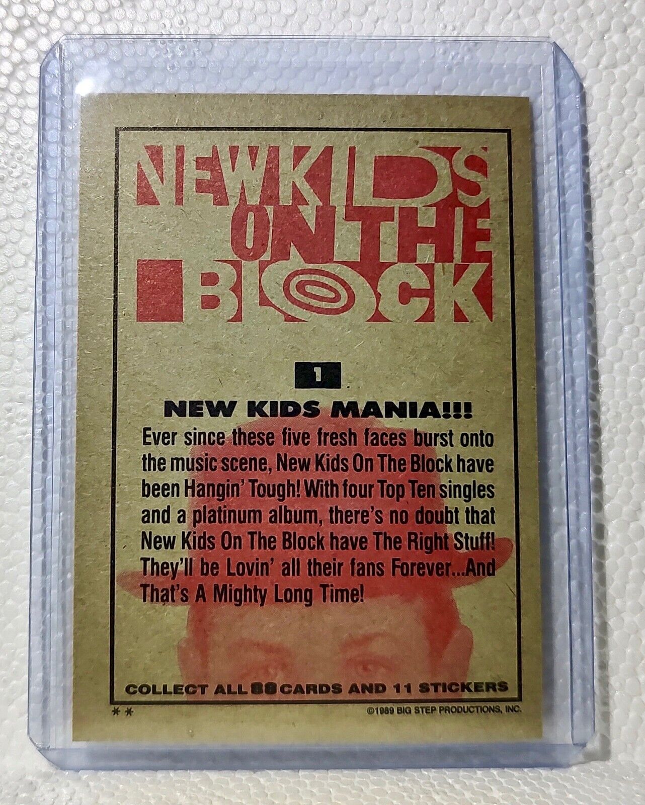 New Kids Mania!!! 1989 New Kids on the Block #1 Trading Card