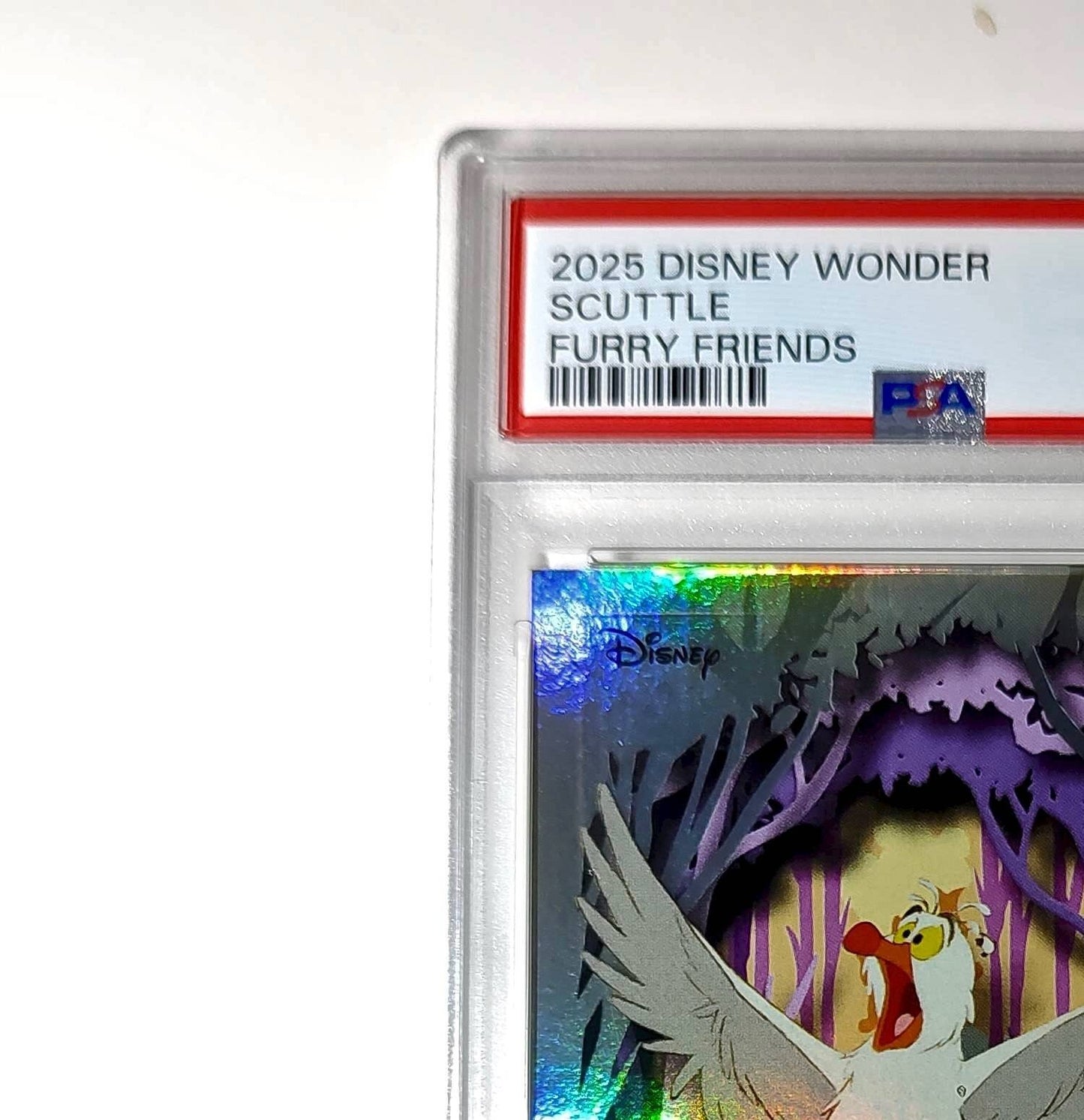 Scuttle 2025 Topps Disney #FF-9 Furry Friends Card The Little Mermaid PSA 9