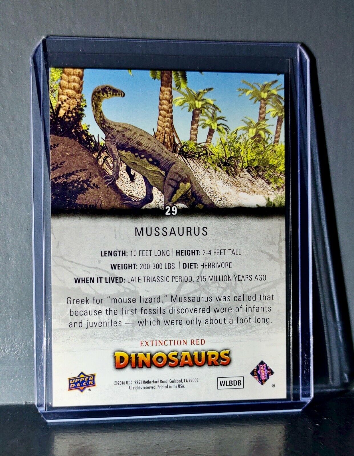 2015 Upper Deck Dinosaurs Mussaurus Extinction Red Parallel #29 Card