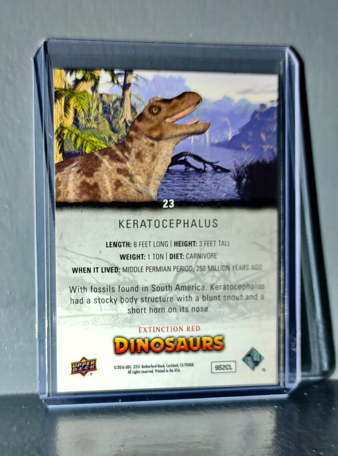 2015 Upper Deck Dinosaurs Keratocephalus Extinction Red Parallel #23 Card