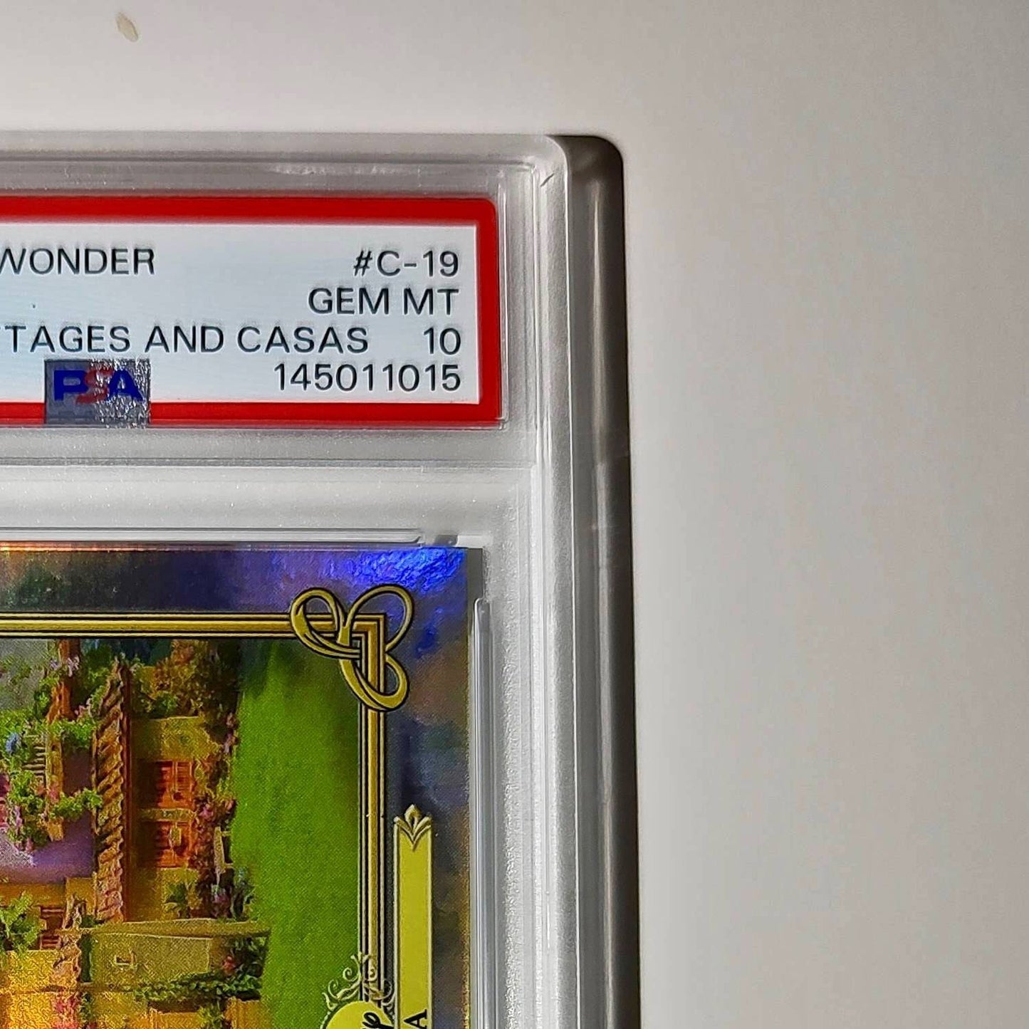 Casita 2025 Topps Disney #C-19 Card Encanto PSA 10