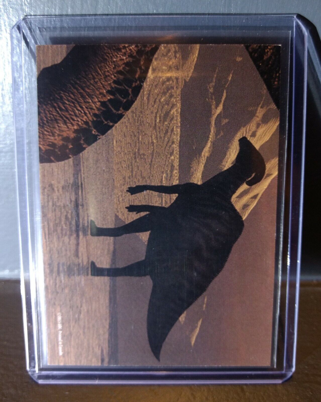 2015 Upper Deck Dinosaurs Dimetrodon #S-22 Trading Sticker Card