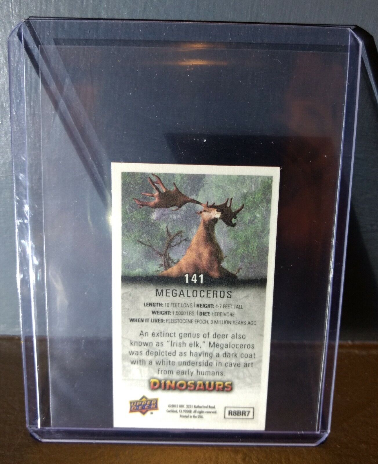 2015 Upper Deck Dinosaurs Canvas Mini Megaloceros #141 Trading Card