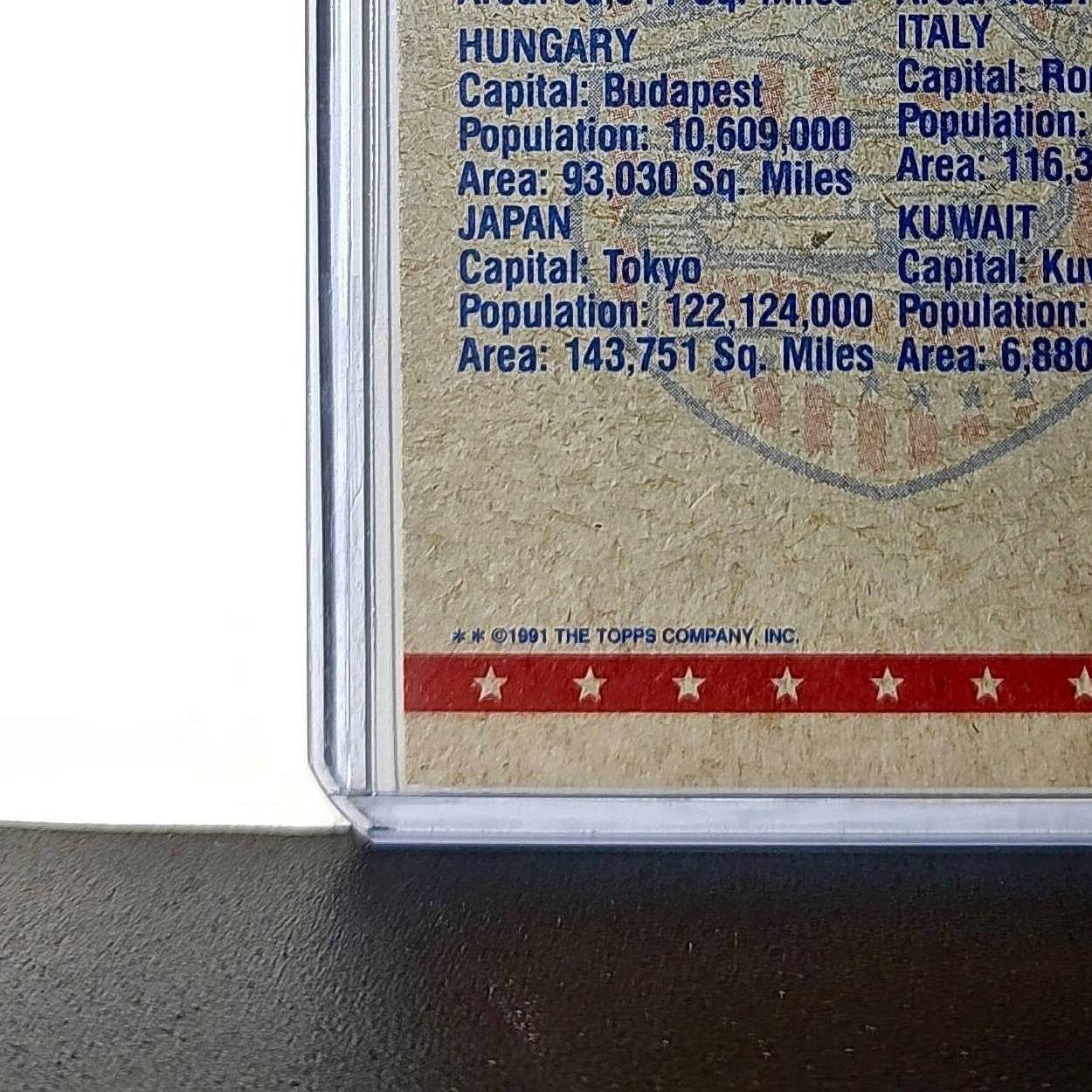 The View from Above 1991 Topps Desert Storm #81 Card