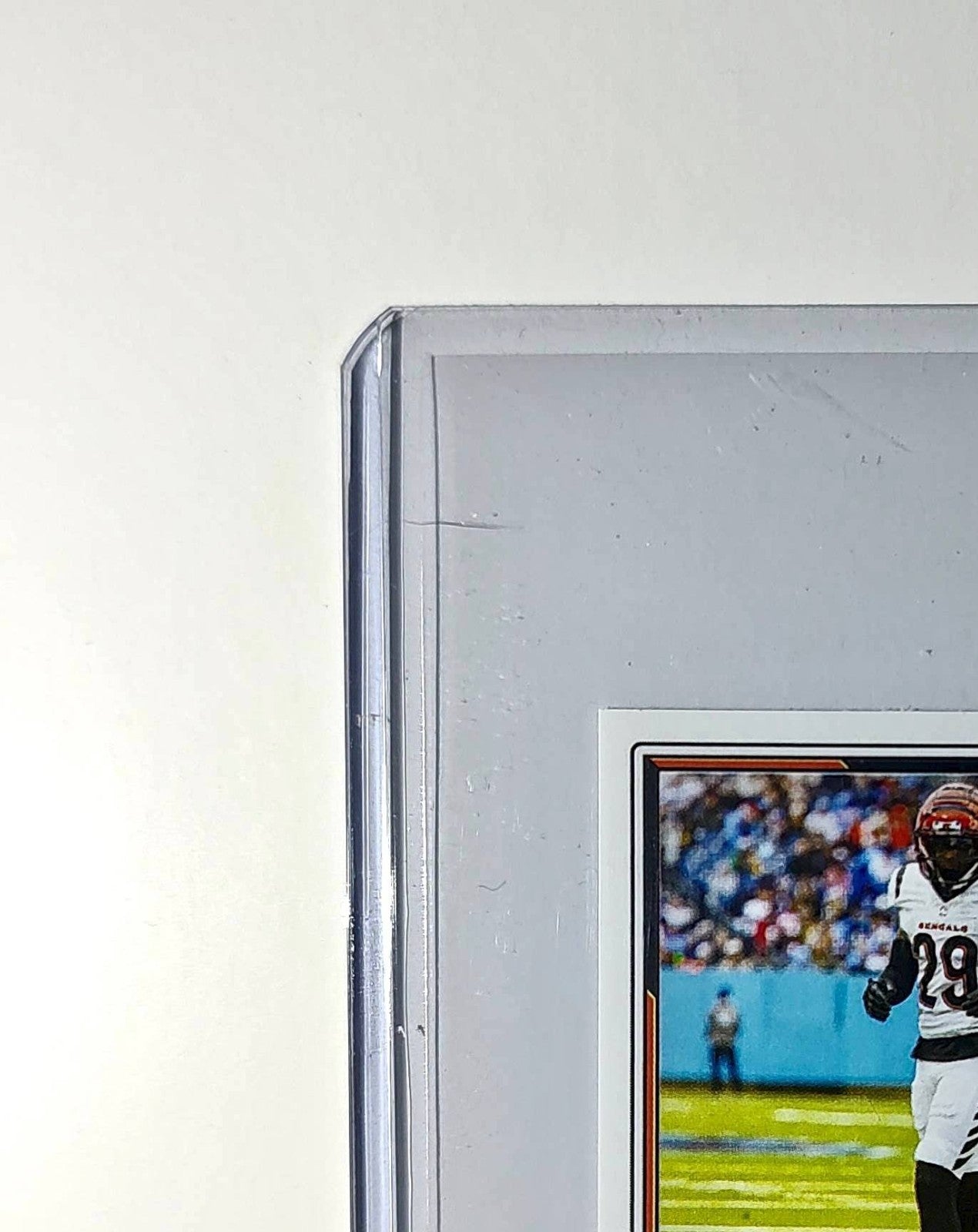 Cameron Talyor-Britt 2025 Panini NFL #129 Sticker Bengals