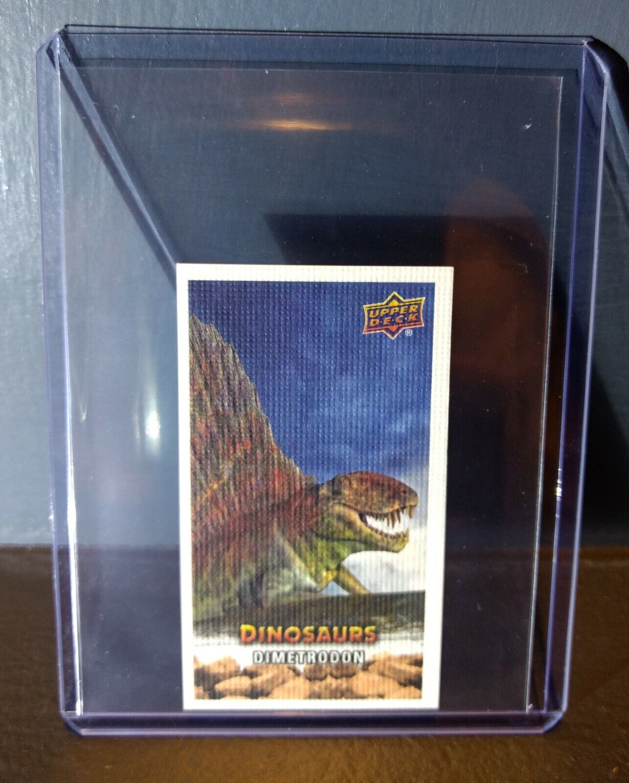 2015 Upper Deck Dinosaurs Canvas Mini Dimetrodon #88 Trading Card