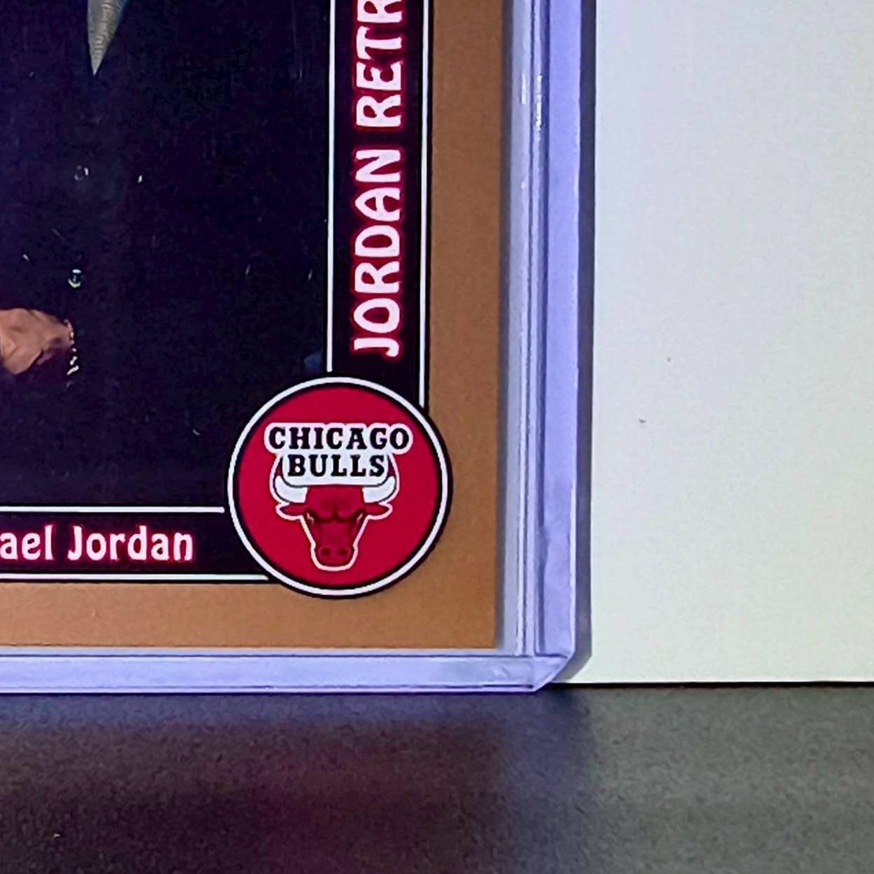 Michael Jordan 2008-09 Fleer Jordan Retrospective #MJ-19 Card Chicago Bulls