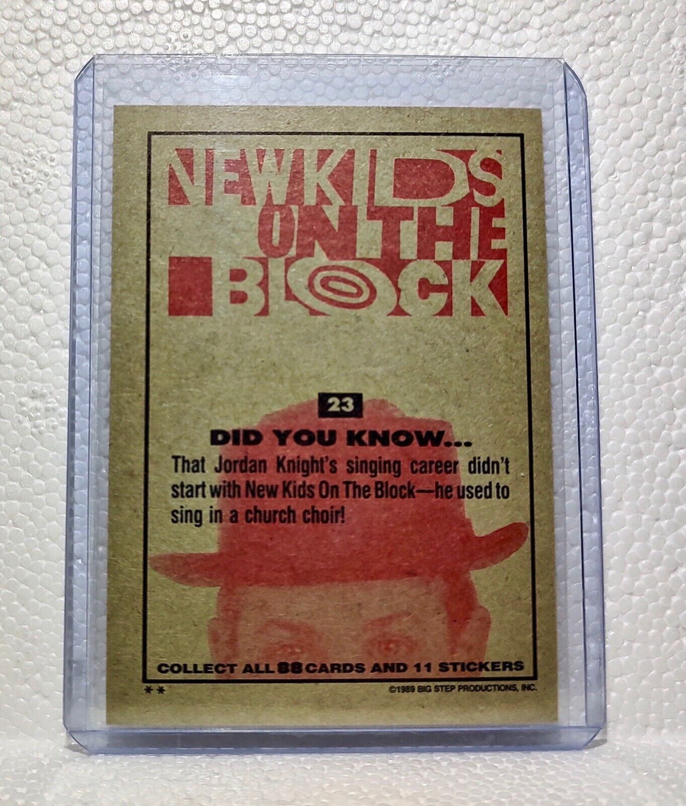 Did You Know 1989 New Kids on the Block #23 Trading Card