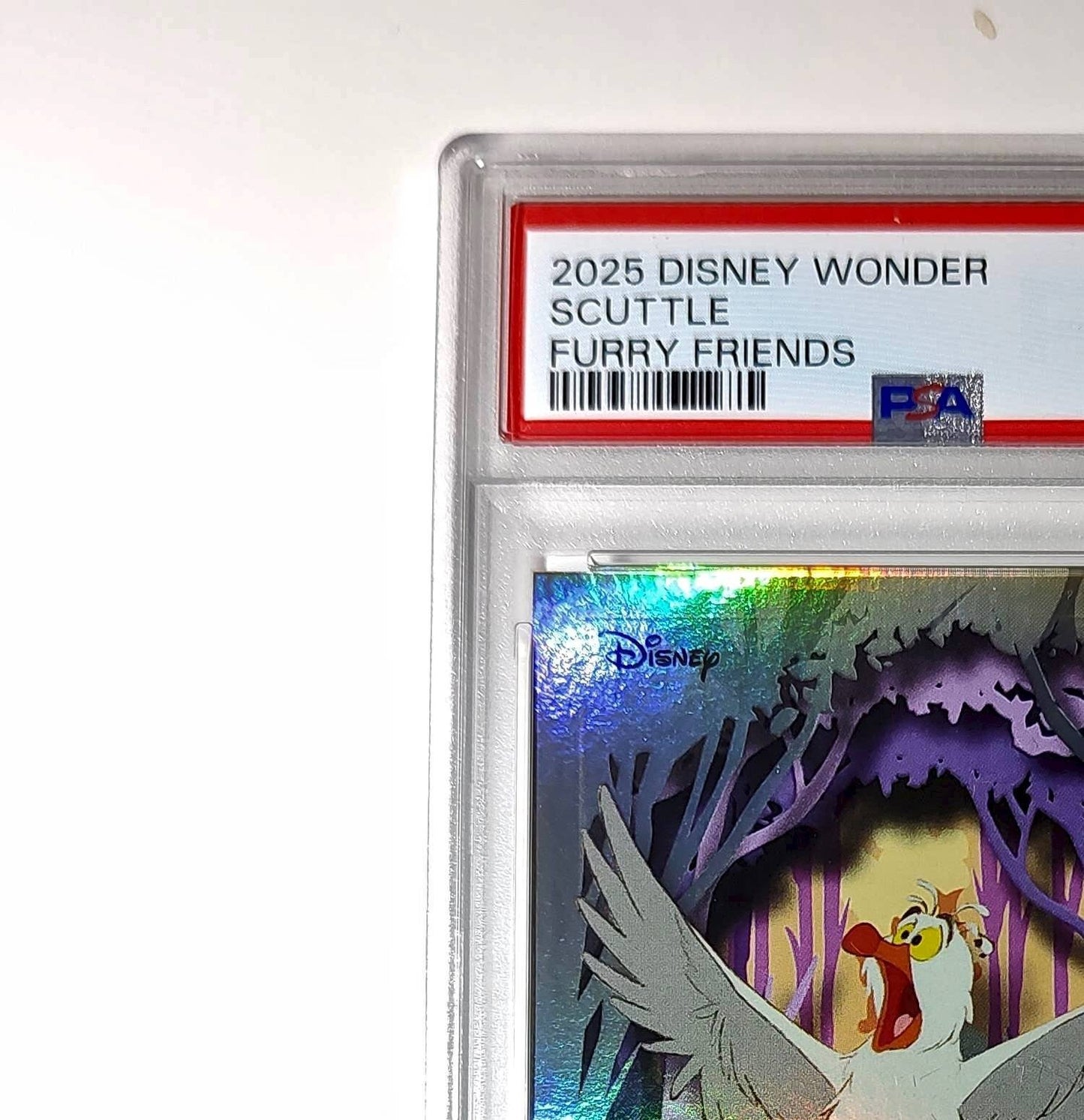 Scuttle 2025 Topps Disney #FF-9 Furry Friends Card The Little Mermaid PSA 9 MT
