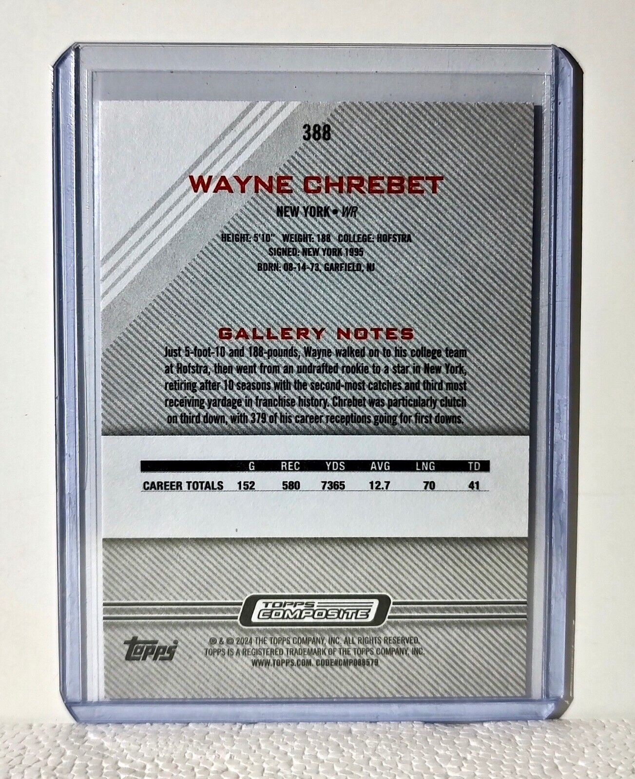 Wayne Chrebet 2023 Topps Gallery NFL #388 Composite Football Card New York Jets