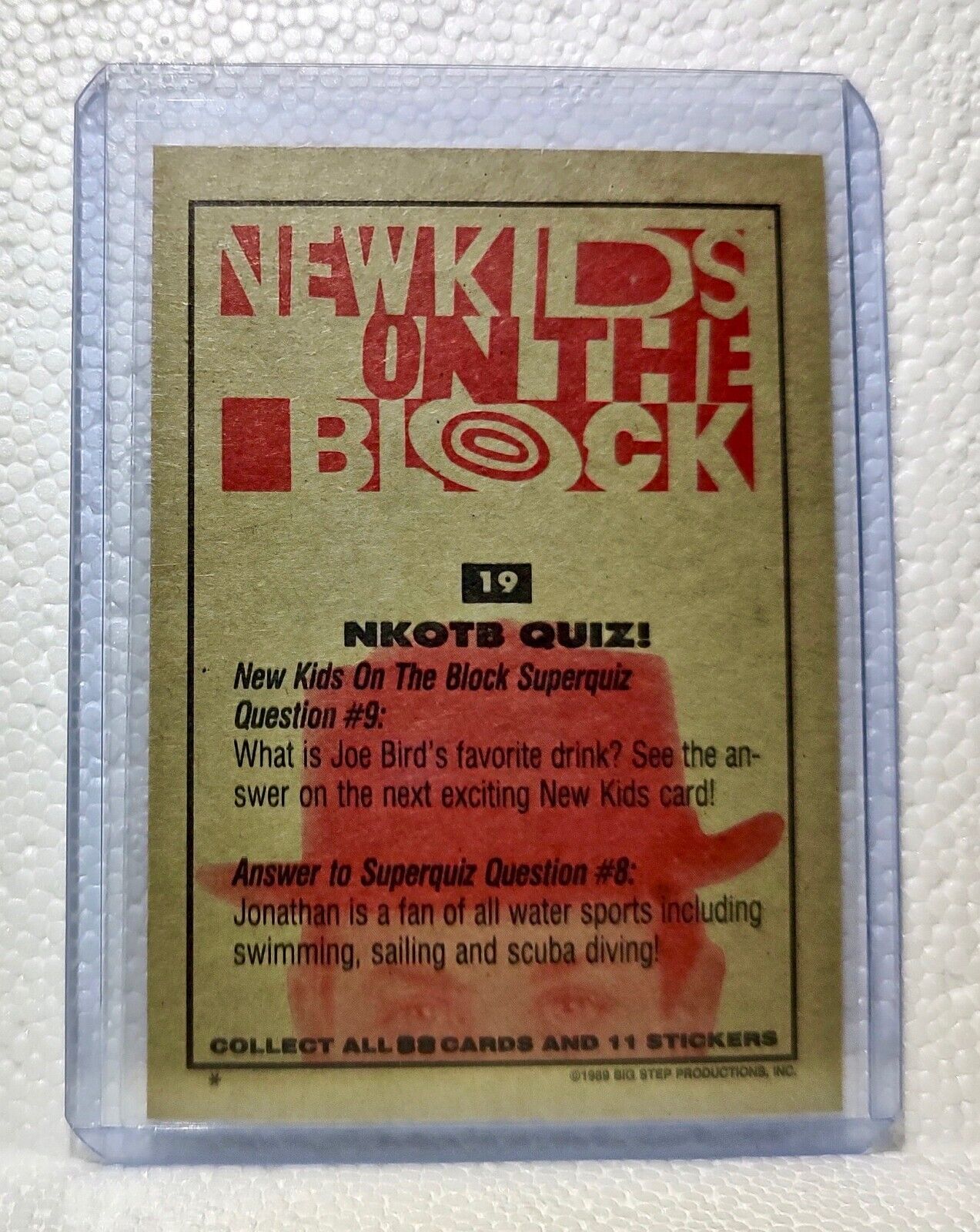 Nkotb Quiz! 1989 New Kids on the Block #19 Trading Card