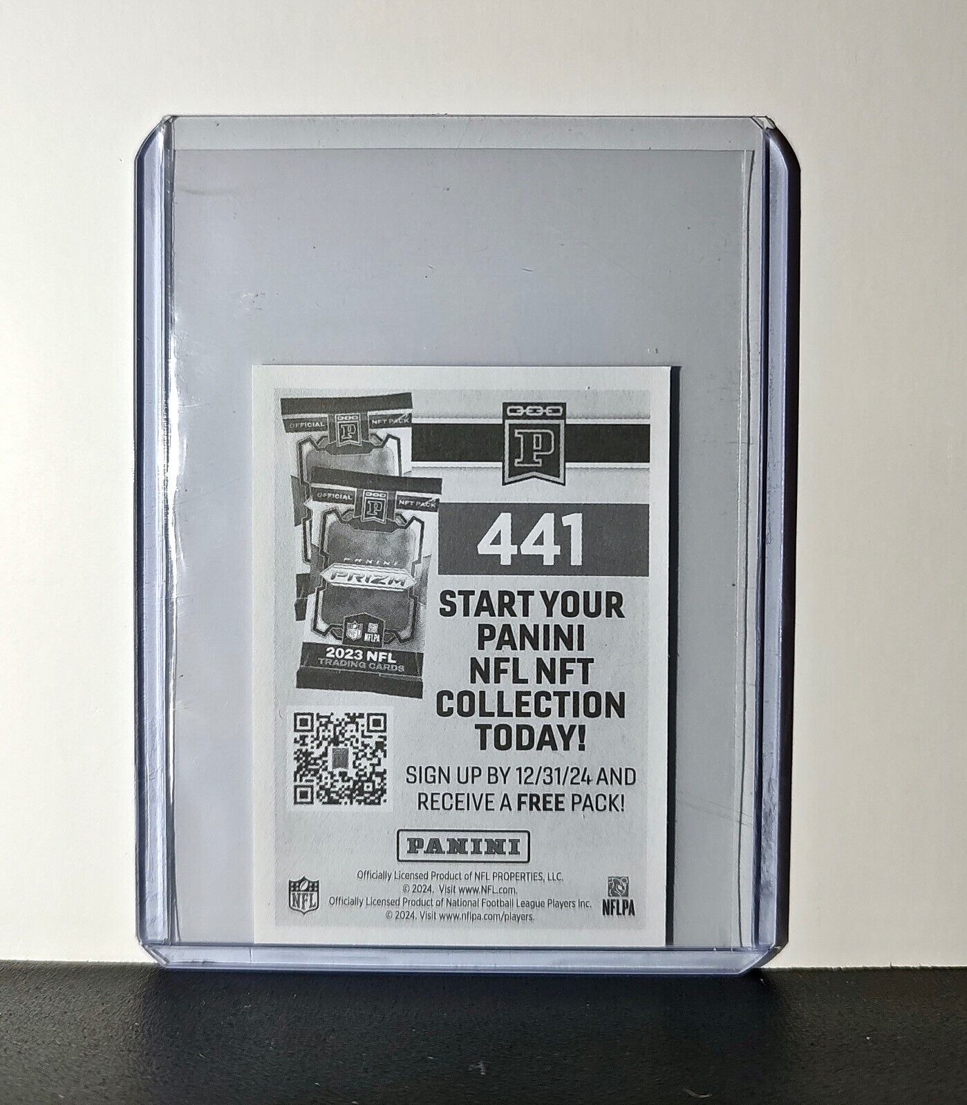 Logo 2024 Panini NFL Sticker #441 Carolina Panthers