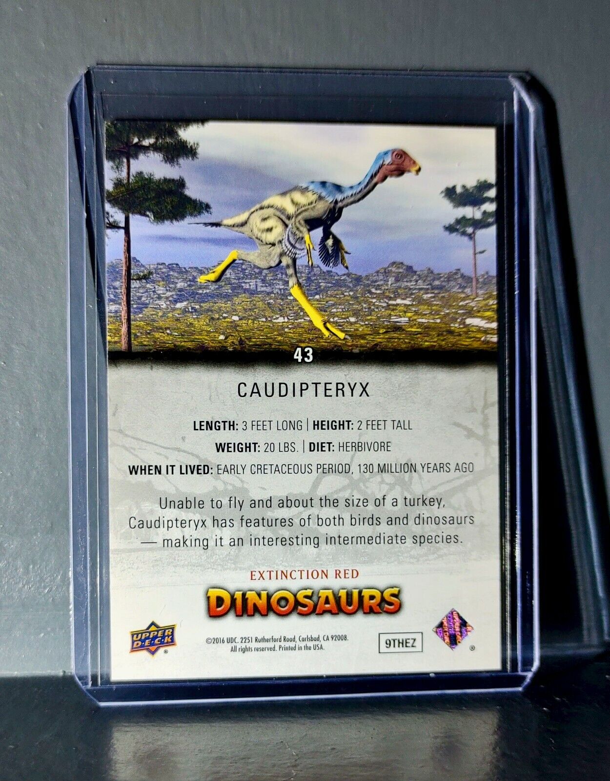 2015 Upper Deck Dinosaurs Caudipteryx Extinction Red Parallel #43 Card