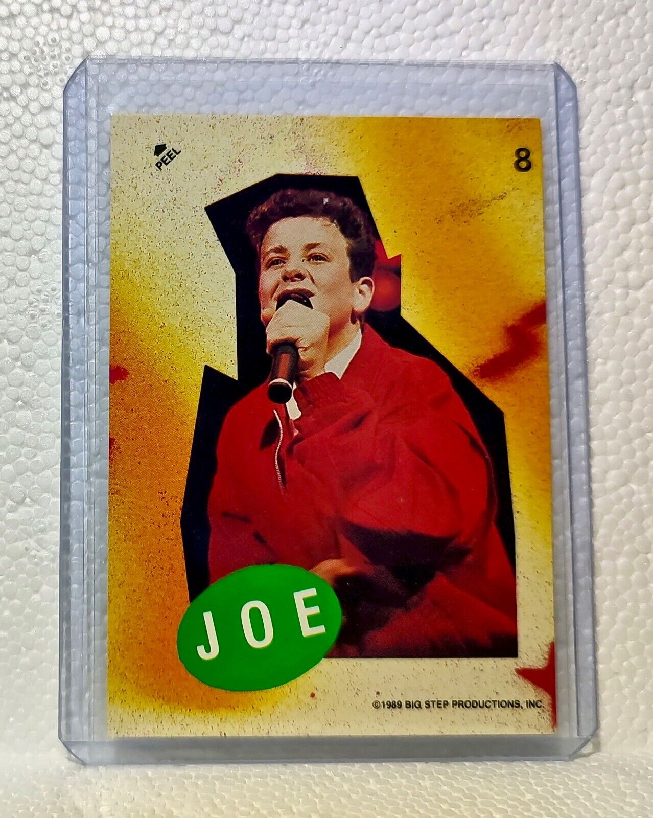 Joe 1989 New Kids on the Block #8 Sticker Trading Card