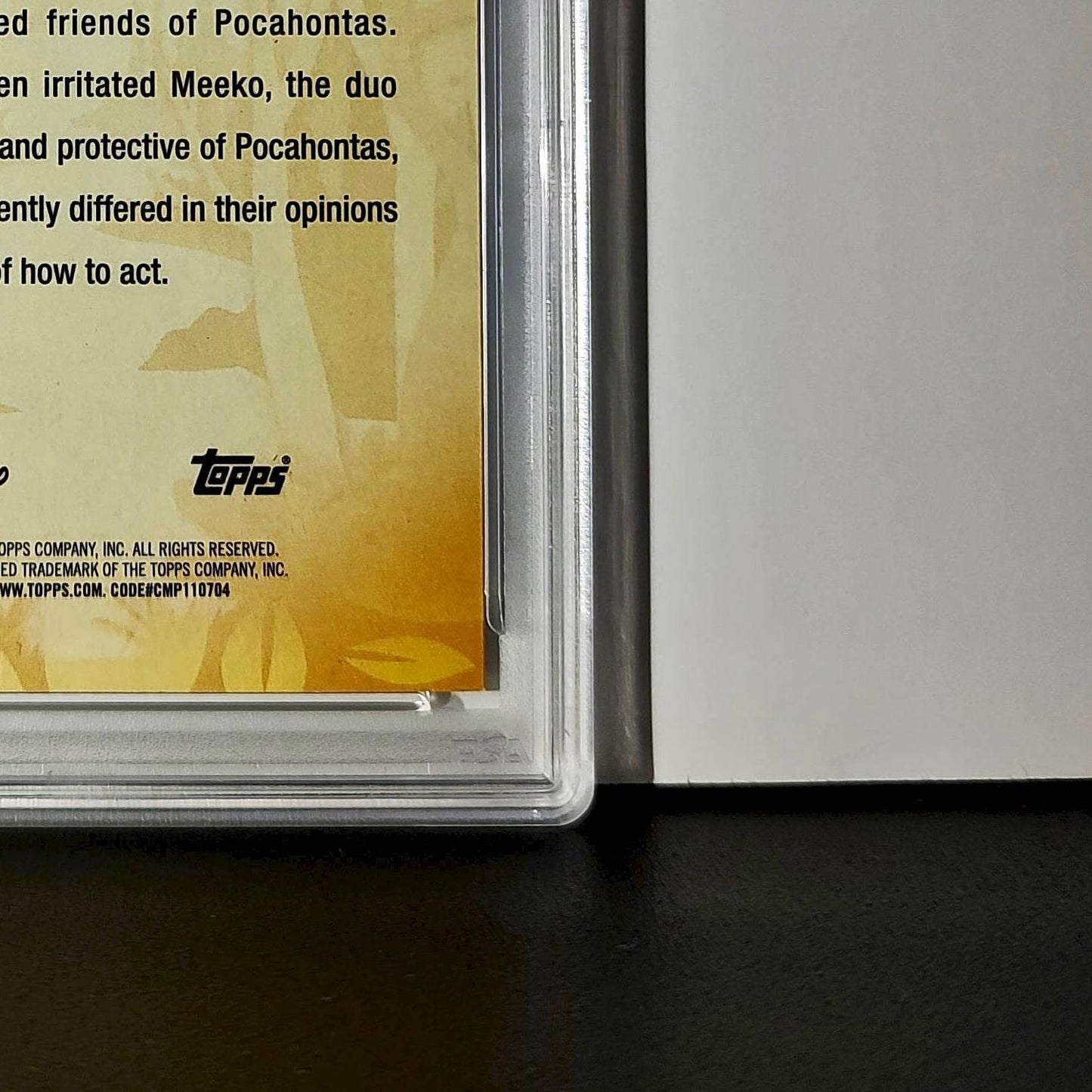 Flit and Meeko 2025 Topps Disney #FF-14 Furry Friends Card Pocahontas PSA 9