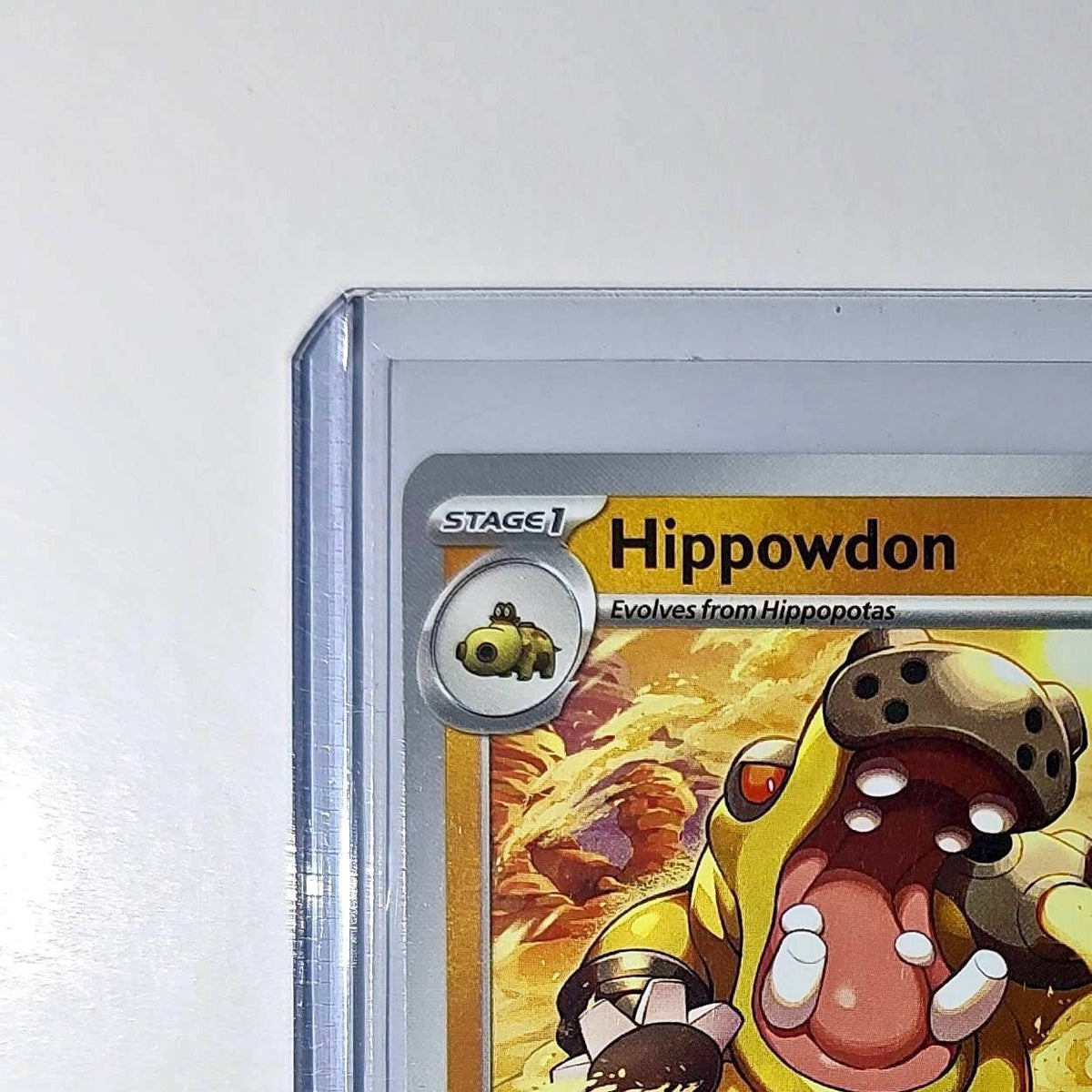 Pokemon Hippowdon HP150 Stage 1 Fighting 40/88 2025 Perfect Order Mega Evolution