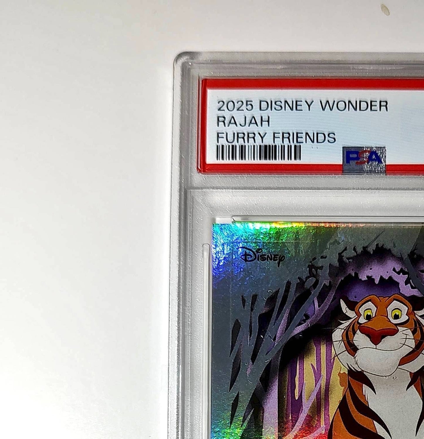 Rajah 2025 Topps Disney #FF-12 Furry Friends Card Aladdin PSA 9