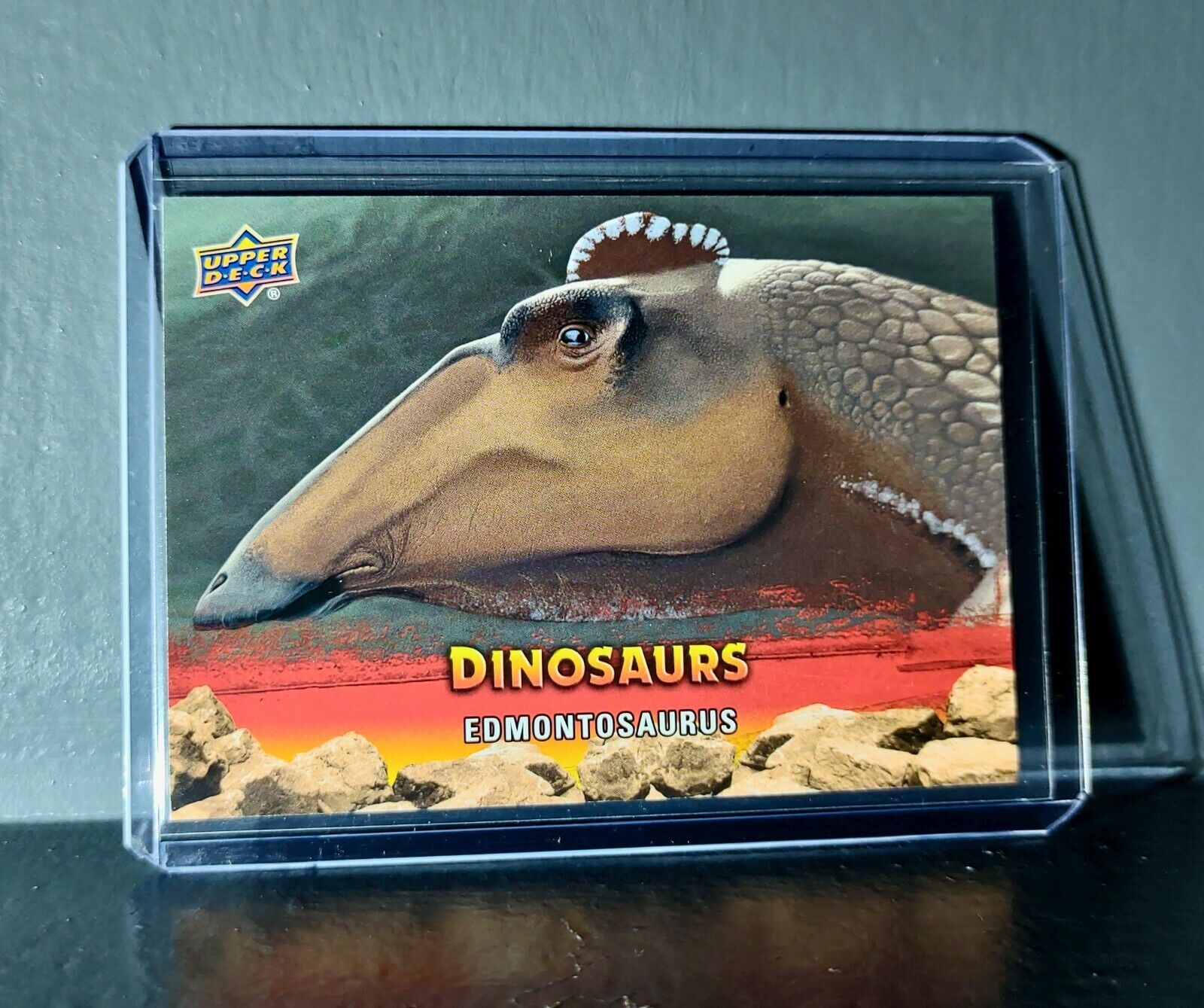 2015 Upper Deck Dinosaurs Edmontosaurus Extinction Red Parallel #34 Card