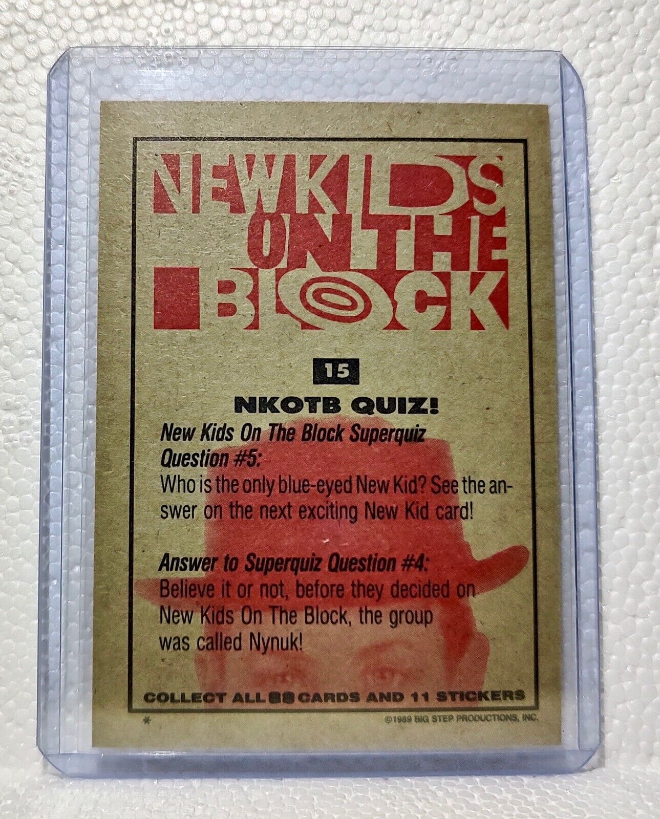 Nkotb Quiz! 1989 New Kids on the Block #15 Trading Card