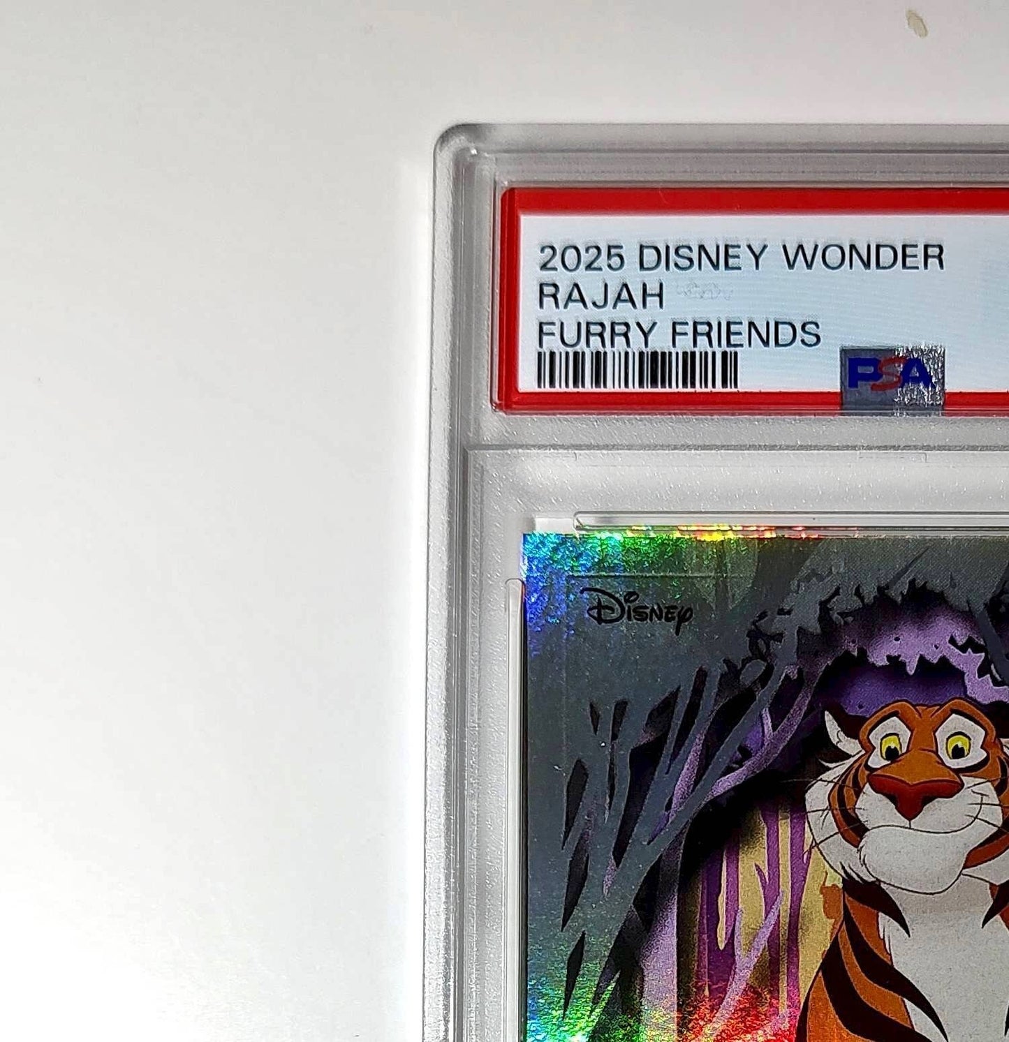 Rajah 2025 Topps Disney #FF-12 Furry Friends Card Aladdin PSA 9 MT