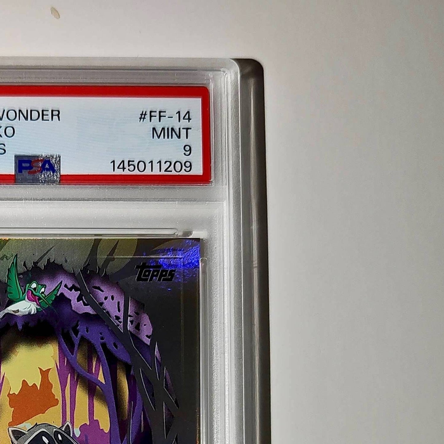 Flit and Meeko 2025 Topps Disney #FF-14 Furry Friends Card Pocahontas PSA 9 MT