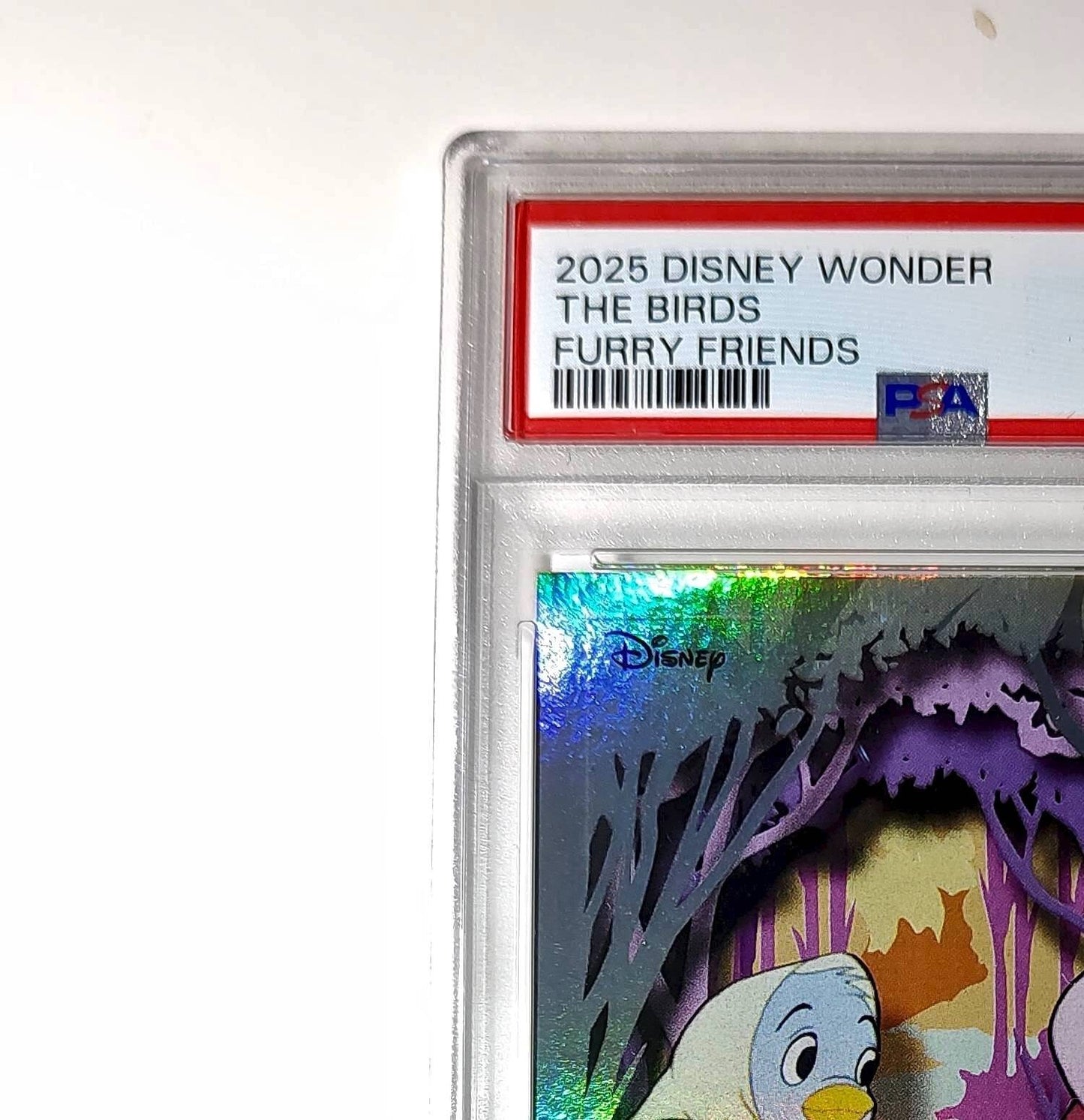 The Birds 2025 Topps Disney #FF-5 Furry Friends Card Cinderella PSA 8
