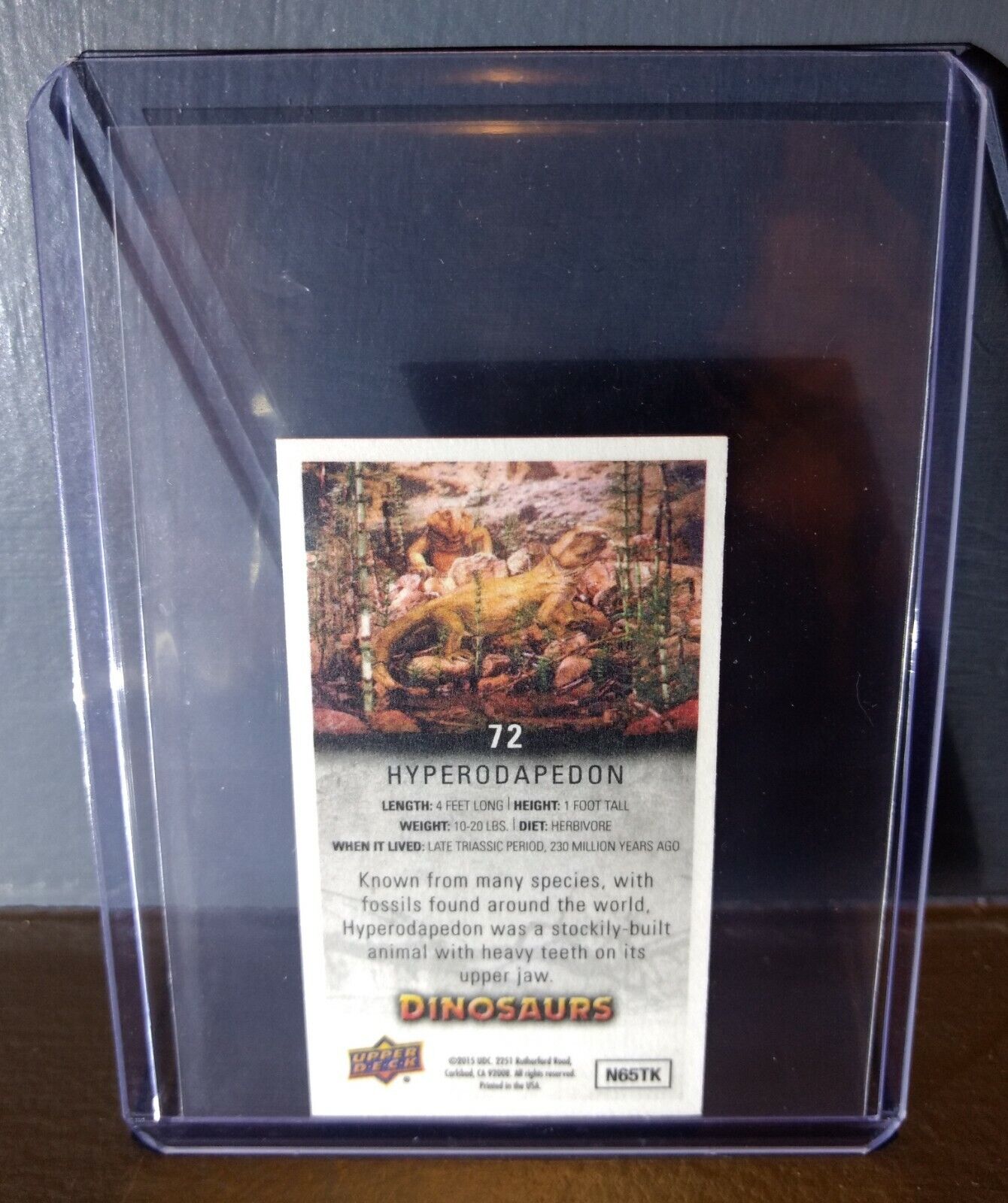 2015 Upper Deck Dinosaurs Canvas Mini Hyperodapedon #72 Trading Card