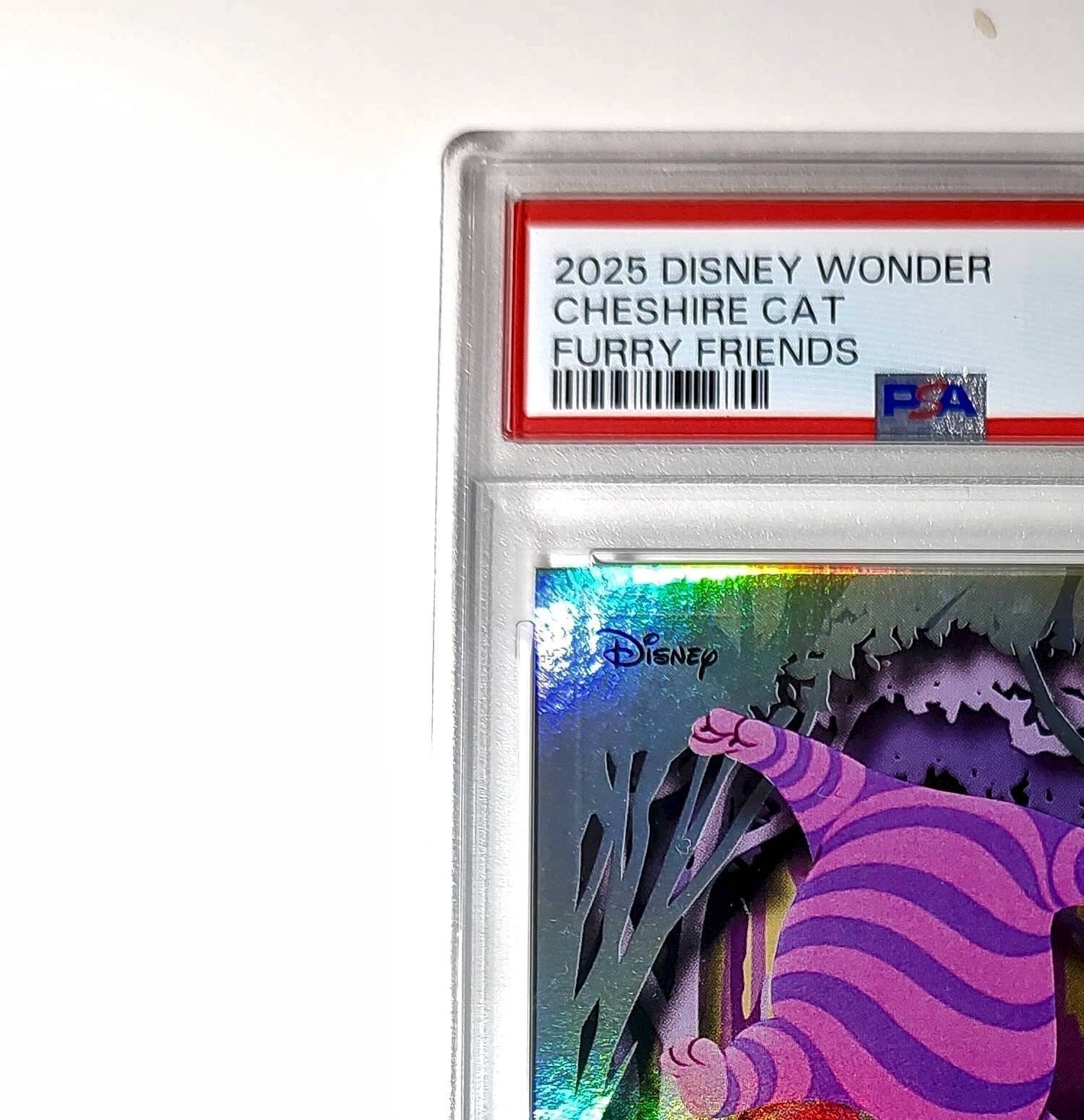 Cheshire Cat 2025 Topps Disney #FF-6 Furry Friends Card PSA 8