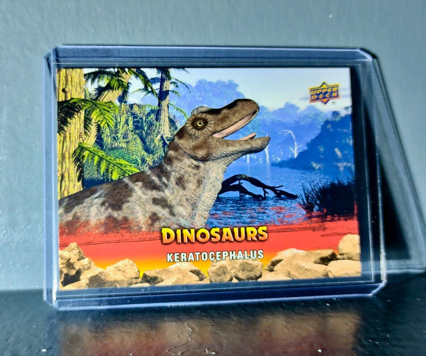 2015 Upper Deck Dinosaurs Keratocephalus Extinction Red Parallel #23 Card