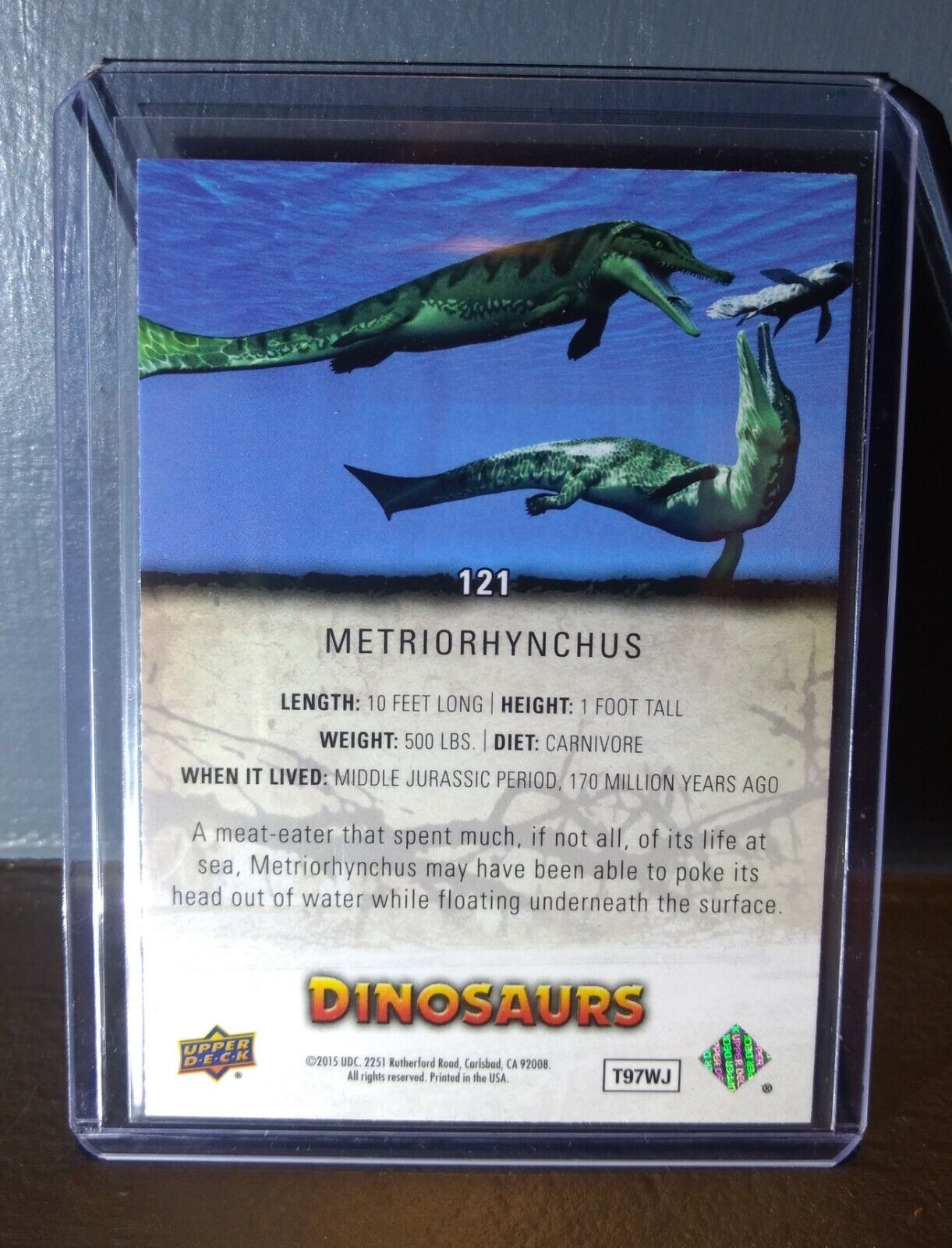 2015 Upper Deck Dinosaurs Metriorhynchus #121 Trading Card