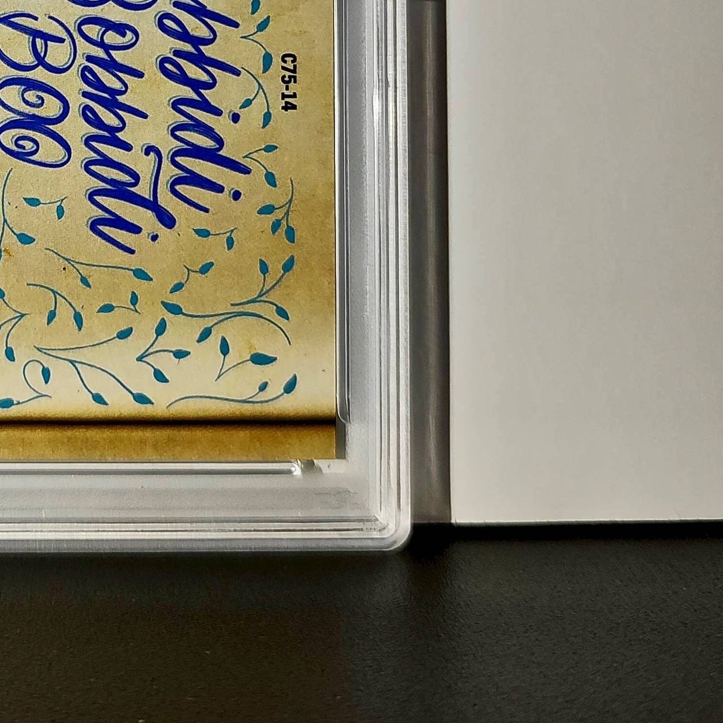 Cinderella boards her magic carriage ride 2025 Topps Disney #C75-14 PSA 9