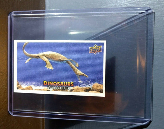 2015 Upper Deck Dinosaurs Canvas Mini Nothosaurus #101 Trading Card