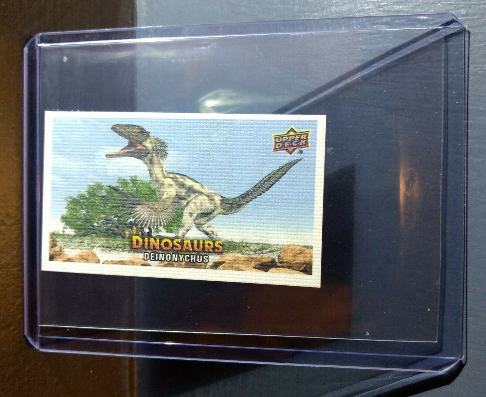 2015 Upper Deck Dinosaurs Canvas Mini Deinonychus #37 Trading Card