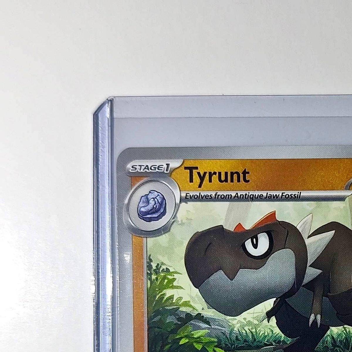 Pokemon Tyrunt HP100 Stage 1 Fighting 044/088 2025 Perfect Order Mega Evolution