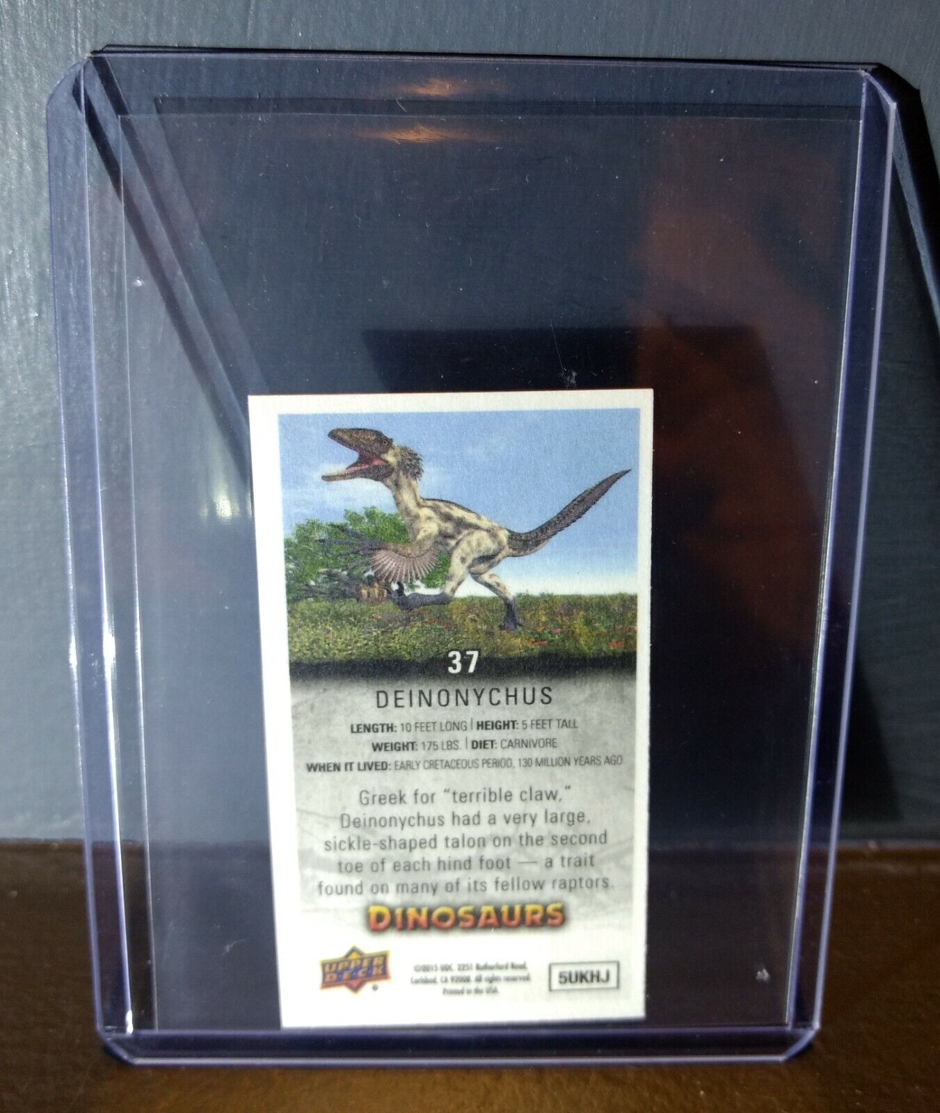 2015 Upper Deck Dinosaurs Canvas Mini Deinonychus #37 Trading Card