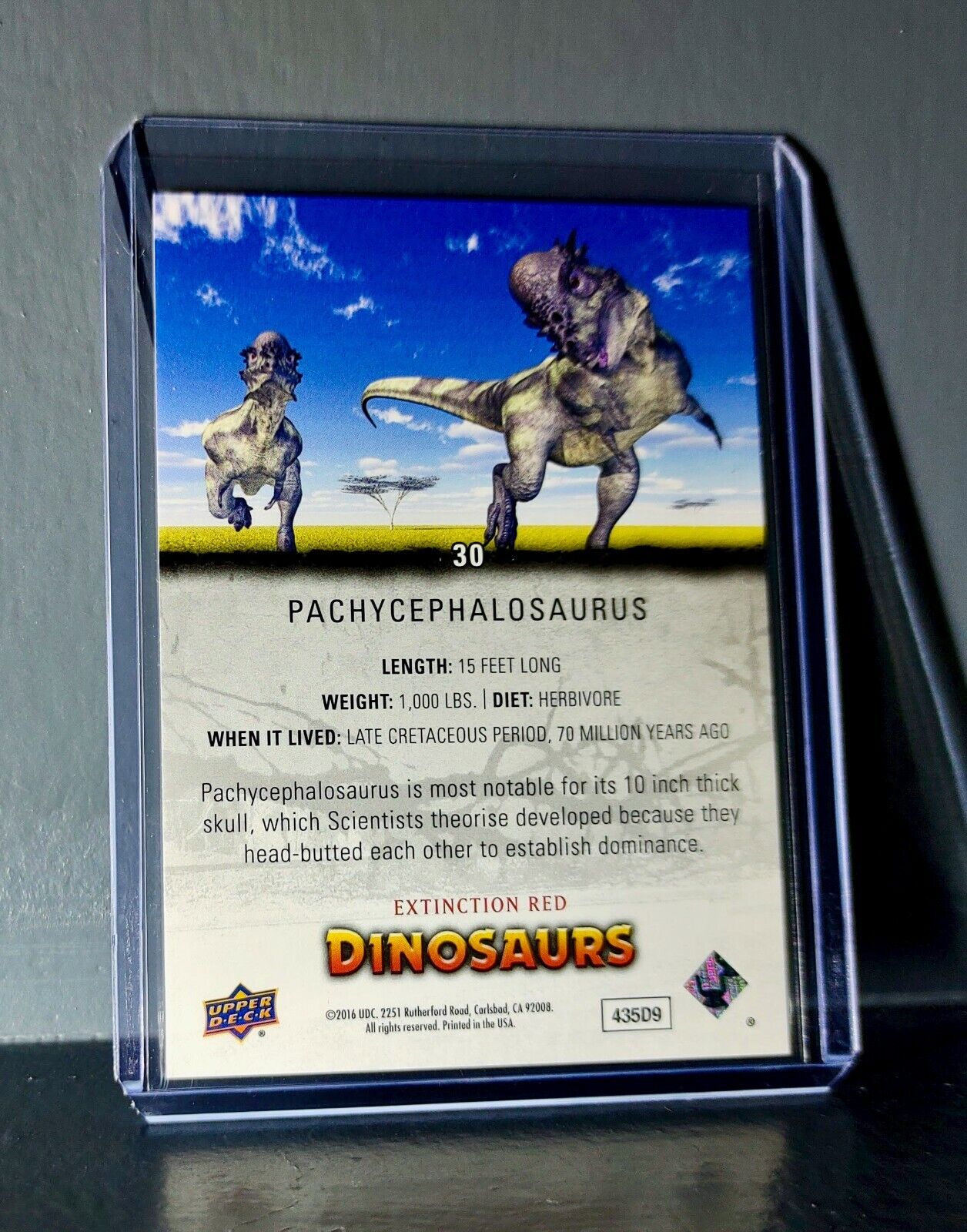 2015 Upper Deck Dinosaurs Pachycephalosaurus Extinction Red Parallel #30 Card