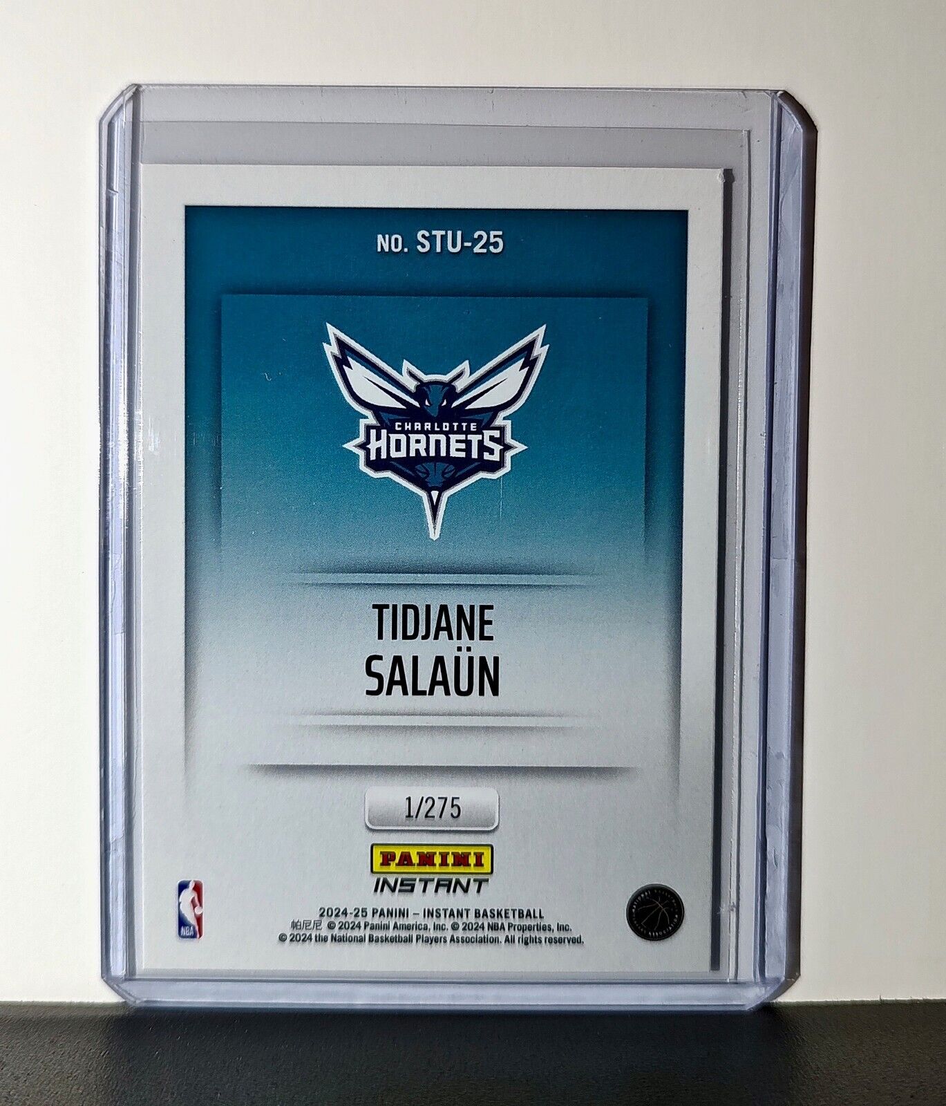 Tidjane Salaun 2024-25 Panini NBA Studio #25 Rookie Card Charlotte Hornets 1/275
