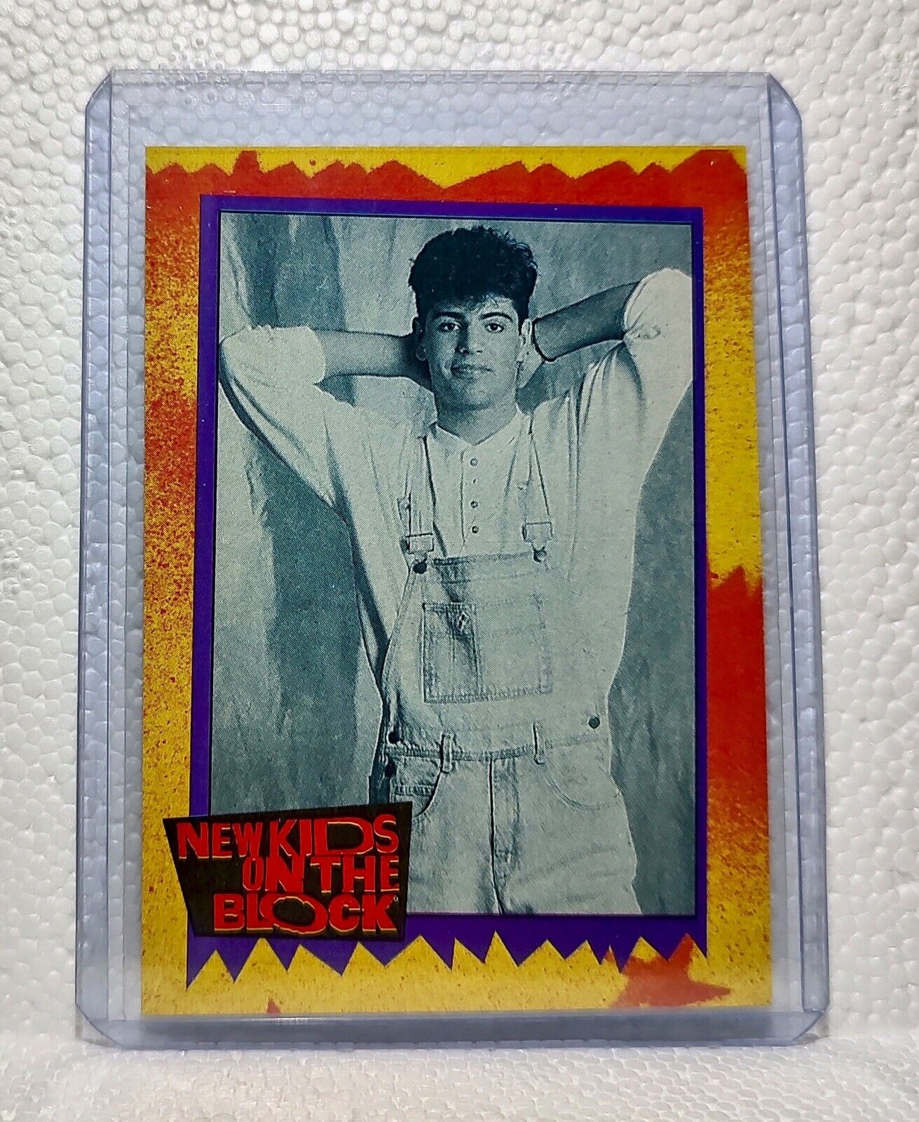 Did You Know 1989 New Kids on the Block #48 Trading Card