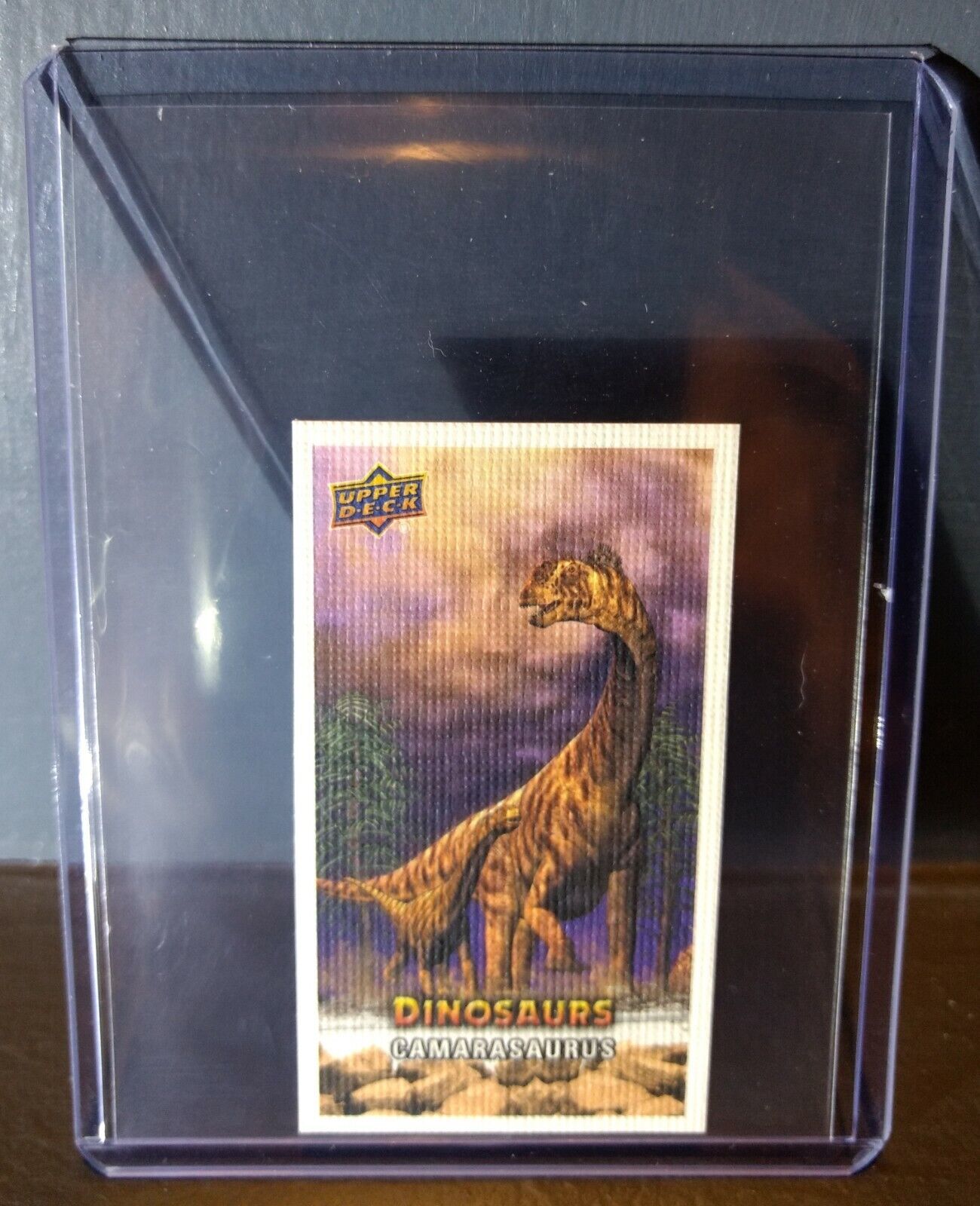 2015 Upper Deck Dinosaurs Canvas Mini Camarasaurus #71 Trading Card