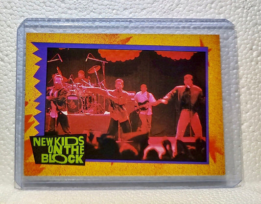 Going Platinum! 1989 New Kids on the Block #69 Trading Card