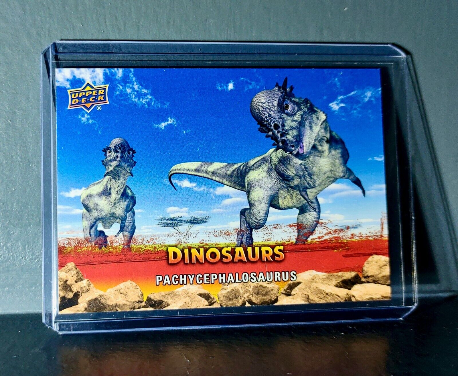 2015 Upper Deck Dinosaurs Pachycephalosaurus Extinction Red Parallel #30 Card