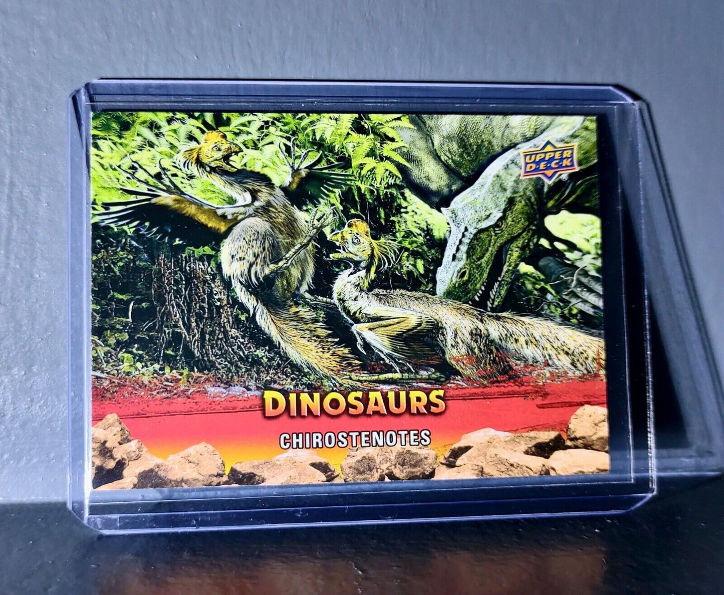 2015 Upper Deck Dinosaurs Chirostenotes Extinction Red Parallel #40 Card