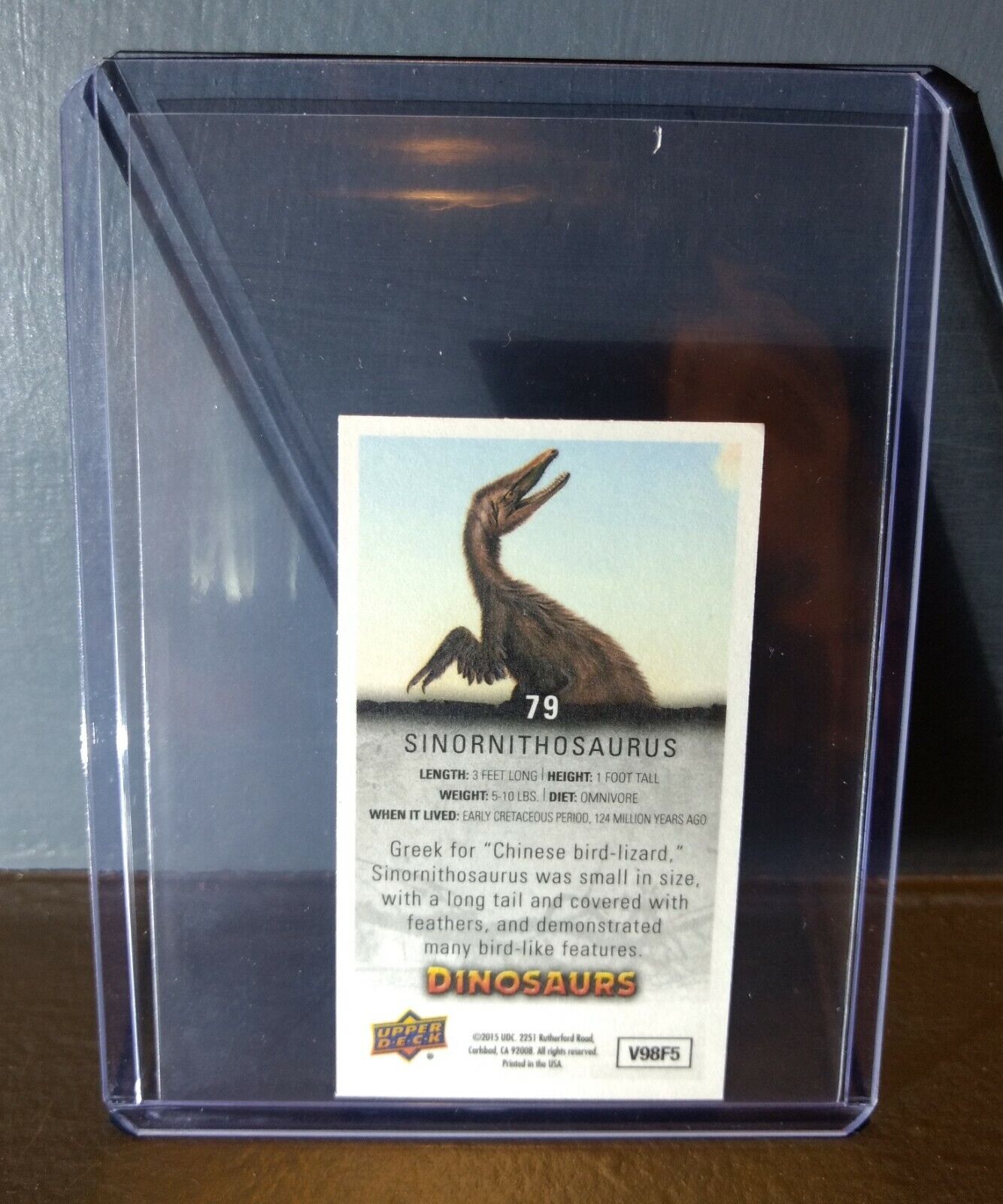 2015 Upper Deck Dinosaurs Canvas Mini Sinornithosaurus #79 Trading Card