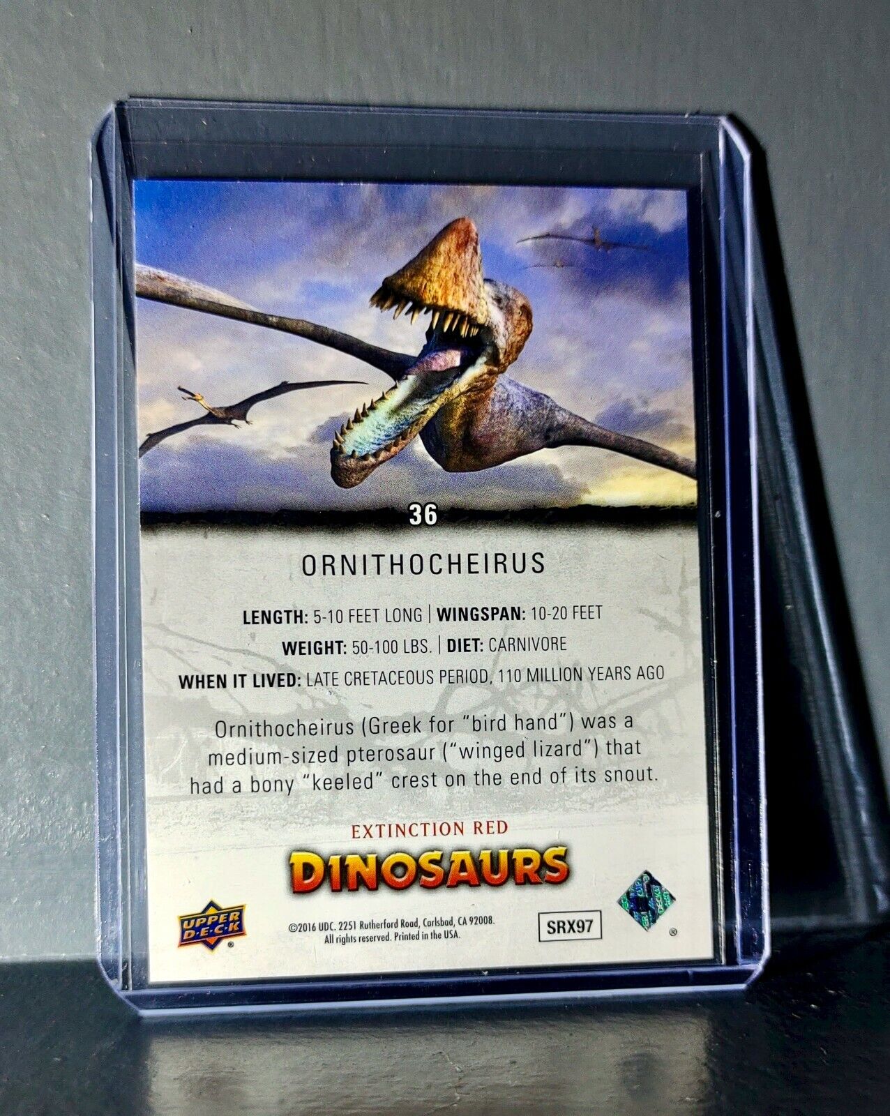 2015 Upper Deck Dinosaurs Ornithocheirus Extinction Red Parallel #36 Card